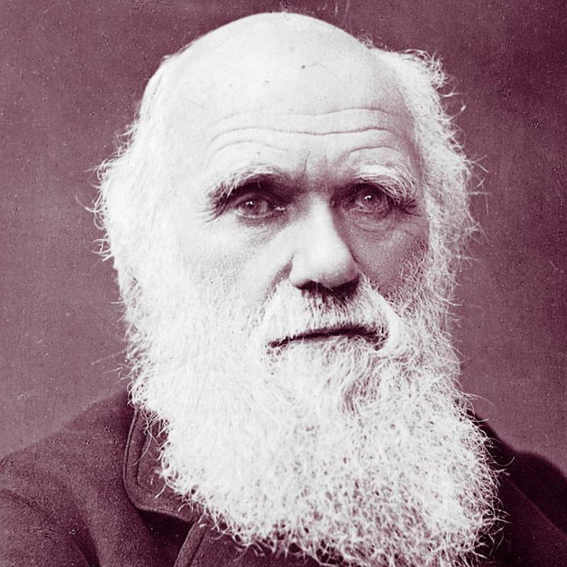 Science - Charles Darwin - Bricknell Primary School